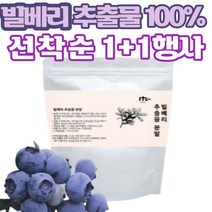 (굿라이프헬스) 빌베리 추출 분말 파우더 가루 BILBERRY 폴란드산 주스 쥬스 1+1, 1팩