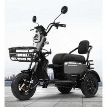 3발 전기자전거 여성 스쿠터 삼륜 소형 출퇴근, 상세 페이지 참고, (50마일) 600W 모터 + 48V  13A H블랙골