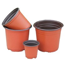 이색 포트 화분(지름 10.5cm) 모종, 상세페이지 참조