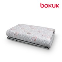 보국 극세사 에어프릴 전기요 BKB-9502 싱글 더블 안심세탁 전기요 전기매트, 싱글(100*180)