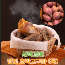 계절식탁 새벽경매 달달촉촉 당진 호박고구마, 특 3kg, 1개