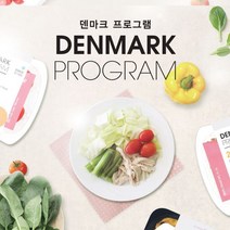 [샐러드보울] 덴마크 식단 7일간의 도전 간헐적 단식, 단품, 단품