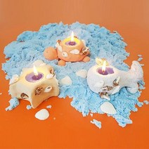 (TD) 여름 조개 캔들 만들기 - 5인세트DIY클레이 점토놀이 미술수업 조소수업 클레이만들기