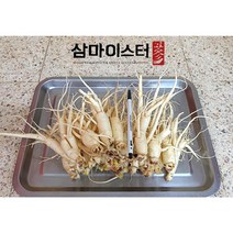 금산인삼 삼마이스터 가정용 업소용 세척수삼 5년근 6년근 파삼 난발삼소 500g, 2.무료세척