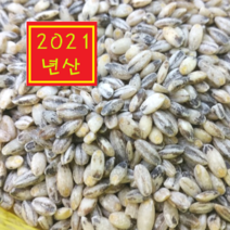 구수하고 맛있는 블랙푸드 보리 검정보리 블랙보리 흑보리 흑찰보리 1kg, 1개