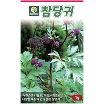 곤드레 100립 - 씨 씨앗 곤드레씨앗 곤드레씨 나물씨 나물씨앗 민속채소 채소씨 채소씨앗 고려엉겅퀴, 30_다농_참당귀(1g)