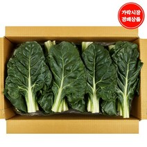 [가락시장 경매 식자재 채소] 근대 4kg, 1box