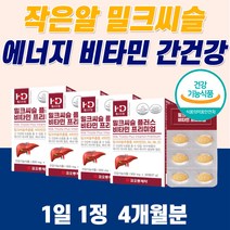 밀크씨슬 작은 알 약 거 식약청 간건강 간해독제 간보호제 노인 노년 중년 남자 남편 남성 밀크 시슬 술 먹으면 알코올 음식 민들레 추천 효능 몸 피곤 엉겅퀴 황달 몸이 무거워요