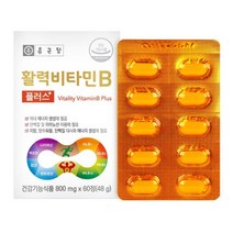 종근당건강㈜ 활력비타민B 활성비타민b 8종 800mg 60정, 60정 x 1개