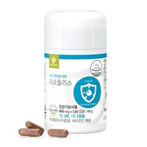 엔트리 엔트리 프로폴리스(20일분) 120캡슐 플라보노이드 섭취량 일일최대치 항산화작용 중금속 배출, 20일분 2개 240정