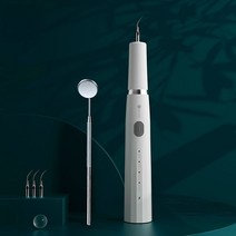 진드기 청소기 . 초음파 치과 스케일러 전기 치아 치석 제거제 치아 얼룩 타르타르 치과, 하얀