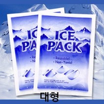 낚시 캠핑 필수품 겔타입 아이스팩 대3개 냉팩 보온팩