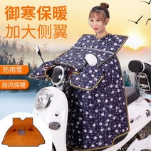 2륜바이크 전기 자전거 노인 전동스쿠터 세발 농업용전동차 부모님 아버지 로얄알로이 2발오토바이, 24V, 어깨 패드