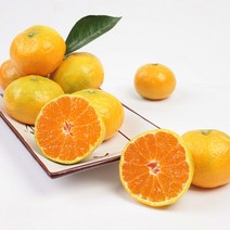 제주도 노지 귤 제주도 감귤 제주 감귤 제철 노지귤 3kg 3개입, 5kg 중대 3개