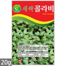 새싹재배기 - 새싹씨앗 21종 새싹 보리 브로콜리 케일 청경채 보리씨앗 보리새싹씨앗 새싹보리 보리씨 새싹씨앗보리, 21_새싹씨앗_콜라비(20g)