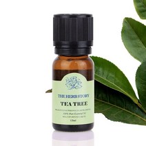 티트리 아로마테라피 마사지 에센셜 오일 12ml, 1, 본상품선택