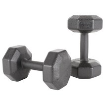 아리프 국산 다이나믹 옥타곤 아령 5kg 2개세트 덤벨, 없음