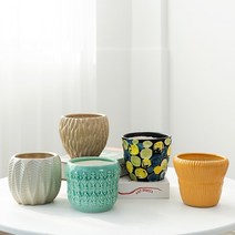 동양난 서양난 승진 화분 크리 에이 티브 꽃 Phalaenopsis 난초 녹색 딜 대형, 세라믹, 3 무작위 hx6816z, 중간