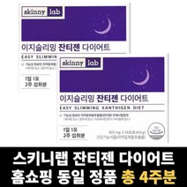 잔티젠 다이어트 이지슬리밍 스키니랩 잔티잰 2박스 총 4주분, 14포 x 12박스 (24주분)