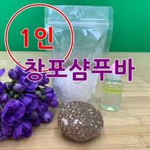 [더위치] 더위치 1인 DIY 창포 샴푸바 만들기 키트 바디바 린스바 제로웨이스트 환경 교육