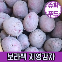 자색감자 3kg 5kg 10kg 보라색 감자 자영감자 햇감자 국내산 산지직송 Purple Potato, 3kg 랜덤크기, 1개