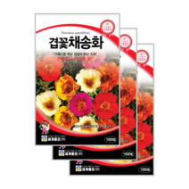 겹꽃 채송화 씨앗 1000립 3봉 Rose Moss, 3