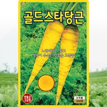 골드스타당근 씨앗 당근 씨 종자 500립, 1개