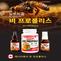 (1병) 캐나다 뉴트리돔 비프로폴리스 프로폴리스 원액 염증에 좋은 비염 면역력 높이는 드랍 30ml