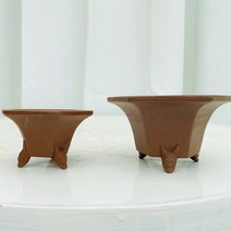 청년농부 분재화분_56 육각형화분 도깨비 분재분 소형화분 다육이화분