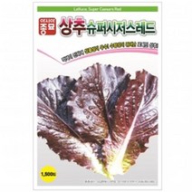 (상추종자씨앗) 슈퍼시저스레드(1000립) 전문농가용