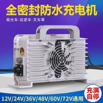 지게차충전기 전기 관광차 충전기 전동 배터리 전동지게차 24V 48V 72V, 110V 입력