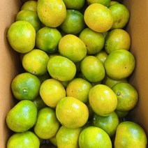 [예약]첫출하 효돈 노지귤 극조생, 상품 5kg(로얄), 1개