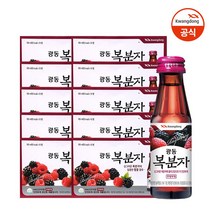 제트스카이 광동제약 복분자 100ml*10개입, [100ml], 100병(10박스)