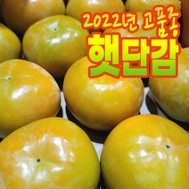 곶감용감 홍시감 대봉감 곶감만드는감 태추단감 땡감 떫은감 소과 중과 대과 2.5kg 4kg 5kg 10kg 송본 부유 진영 전라도 햇감 중과 대과 햇감, 일반단감(품종랜덤), 4kg(22-28과)