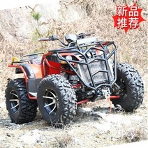 레저 사륜구동 전지형 바이크 산악오토바이 사발이 성인 2 인승 4 륜구동 카르 단 샤프트 전송 큰 황소 해변 자동차 가솔린 모든 지형 오프로드 오토바이 카트, 사륜구동 300cc 수냉식