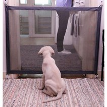 강아지안전문 강아지펜스 애견울타리 설치와 해체가 간편한 강아지 안전망