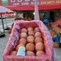 정광농원 밀양 얼음골사과 꿀 사과 선물용 산지직송 농가직판 사과즙, 사과즙 1box