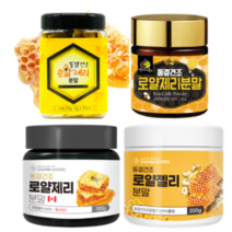 동결건조 생로얄제리 분말 벌꿀집 캐나다 수입 일회용 30스틱 꿀가루 로얄젤리 파우더 효능, 선택3)동결건조 로얄제리 분말 100g