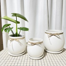 청년농부 항아리화분 깔끔한화분 원형화분 분갈이화분 화이트화분