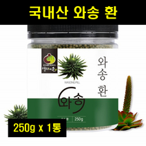 와송환 식용와송 바위솔 국산 국내산 와송 밀폐용기 250g 1통