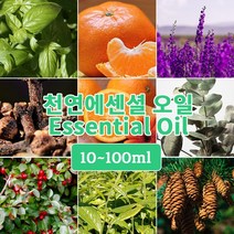 J004 페퍼민트 100ml (Peppermint Essential Oil) 천연에센셜 오일 원액 아로마