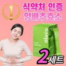 * 60만 역가수치 * 유기농 양배추효소 양배추 분말 가루 환 추출물 스틱 파우더 탄수화물 분해 효소 고소한 담백한 맛 플러스 락토바실러스 국내산 국산 15 곡물 라풀굿알약케이스, 양배추효소 2세트