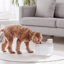 무선 센서인식 강아지 고양이 대용량 자동 급수기 물 음수대 반려견 반려묘