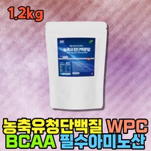벌크업 웨이 프로틴 미국 대용량 고단백질 WPC 보충제 아침대용식 동물성 완전 단백질 필수 아미노산 웨이 프로테인 BCAA 류신 로이신 드링크 분말 파우더 BACC 남자몸짱 농축유청