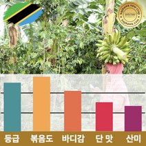 캅카와 [스페셜티]원두 탄자니아 음베야 AAA FAQ 강배전 500g (뉴크롭), 홀빈(분쇄안함)