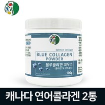 캐나다 저분자 피쉬콜라겐 가루 먹는 어류콜라겐 분말 100프로 수용성 생선콜라겐 트리 펩타이드 연어 명태 피시콜라겐 가수분해 파우더 히알루론산 100% 연어추출 블루 콜라겐 고함량 효능, 두개, .