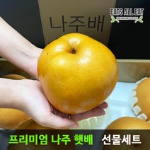 이츠올릿 나주 신고 황금 배 못난이 5kg 15kg 과일 먹골 추황 서양 사과 선물세트, 특품 나주 햇배 7.5kg (7-10과)