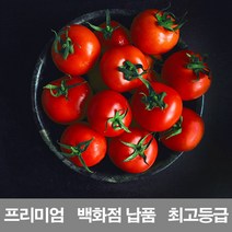나은상점 프리미엄 방울토마토 백화점 납품 최고등급 특당도, 3kg, 1개