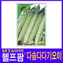 헬프팜 다솜다다기 50립 씨앗 종자 그린하트바이오