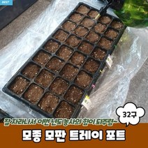 모종 파종판 육묘판 식물재배기 모판 트레이 모내기